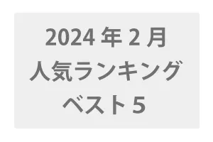 2024年2月発売 VR人気ランキングBEST5