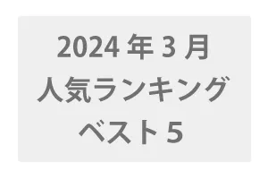 2024年3月発売 VR人気ランキングBEST5