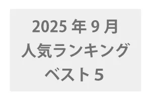 2025年9月発売 VR人気ランキングBEST5