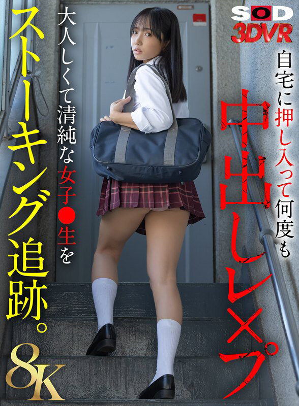 ストーキング追跡レ×プ